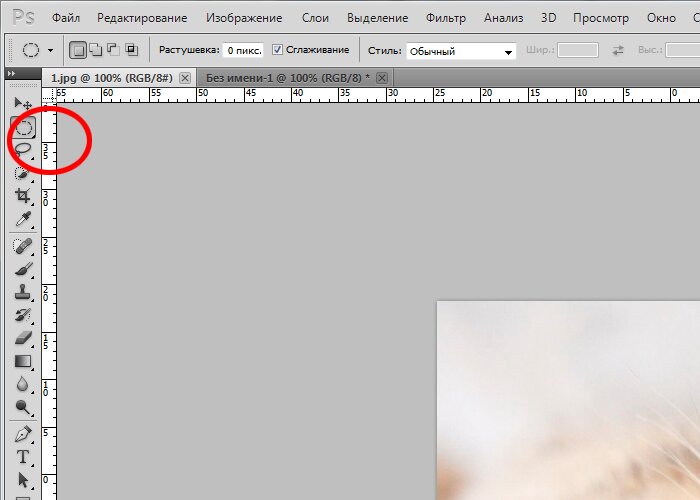 Как сделать круглую картинку в фотошопе